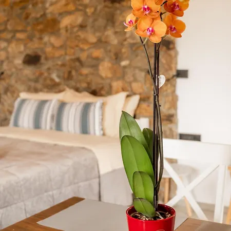 Honey Bee House Apartment Mykonos Town Exterior photo