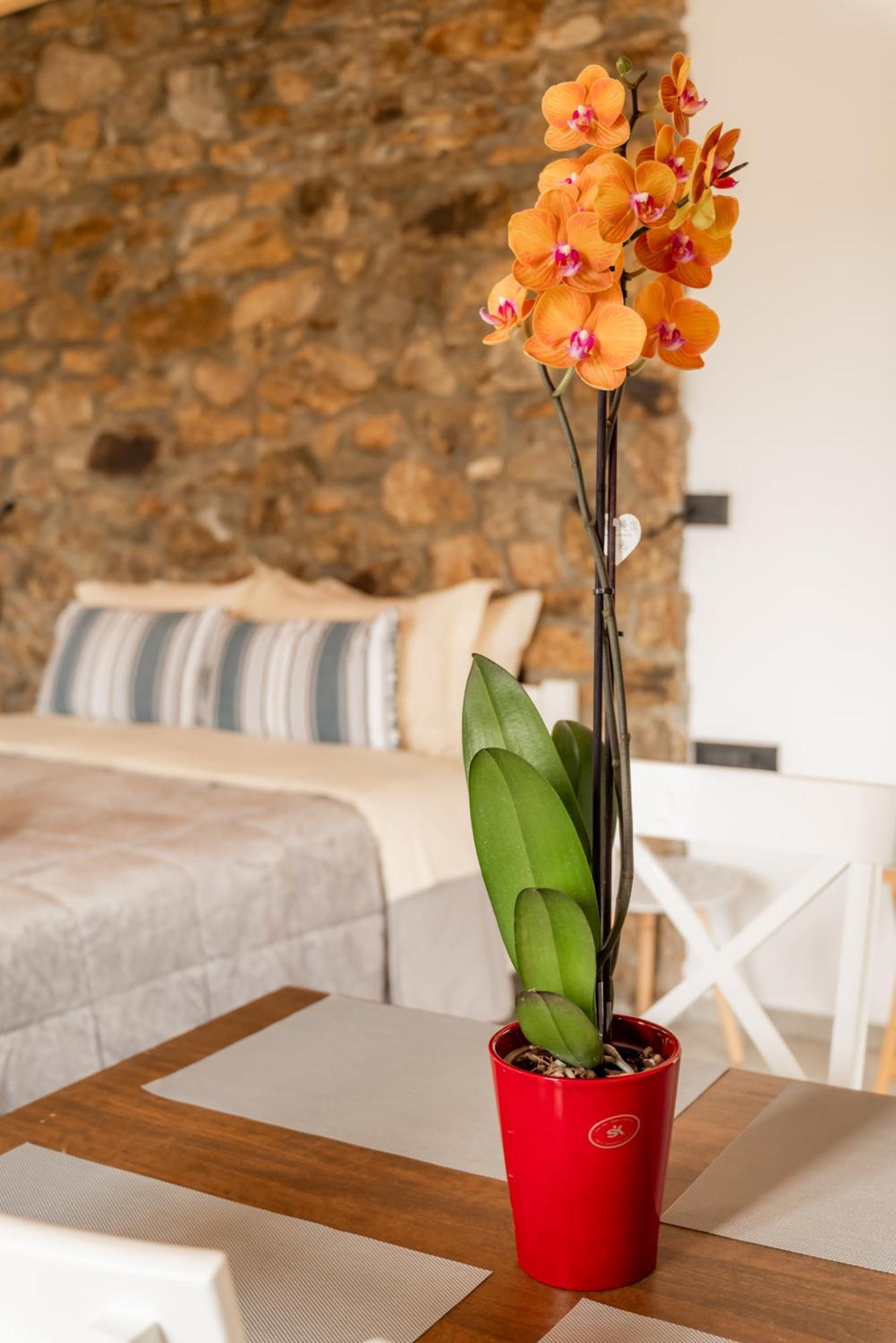 Appartement Honey Bee House *