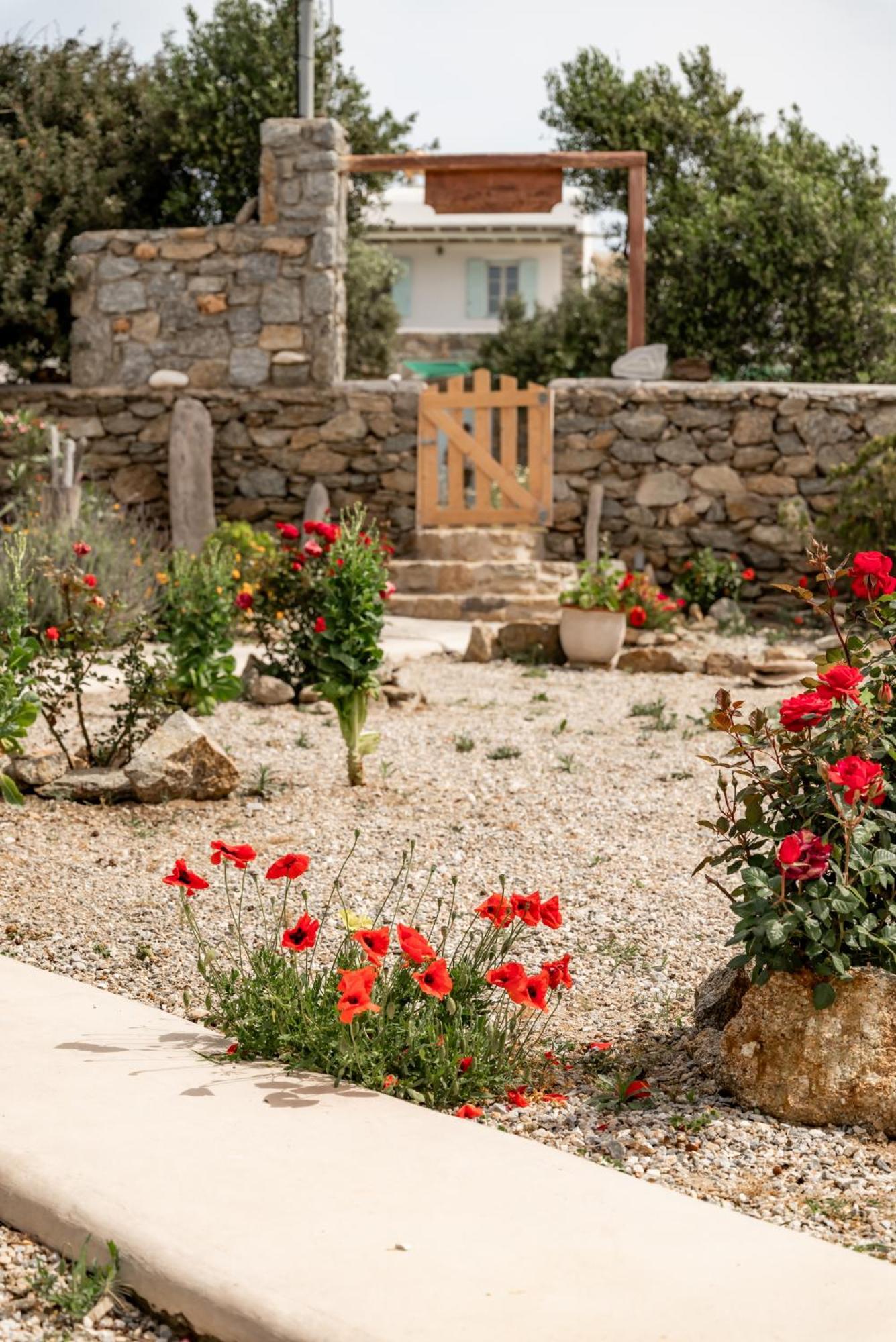 Honey Bee House Apartment Mykonos Town